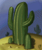 SaguaroSon